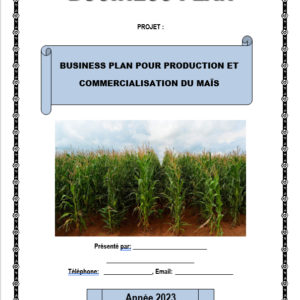 Business plan pour culture du maïs