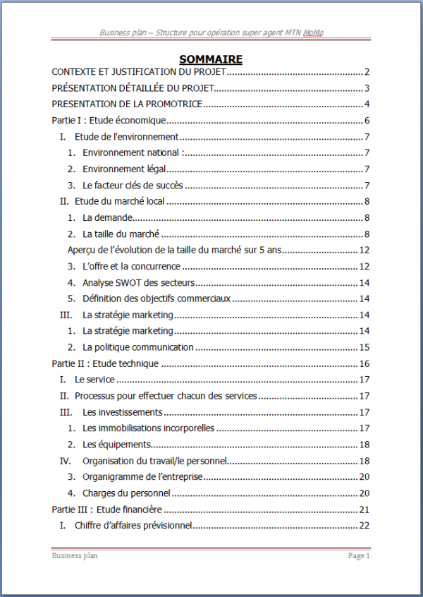 Exemple business plan de création d'une entreprise super Agent MTN Money - Image 2