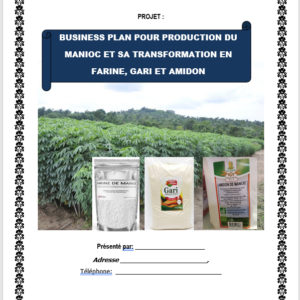 Business plan pour production et transformation du manioc