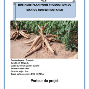 Business plan culture du manioc sur 2 hectares