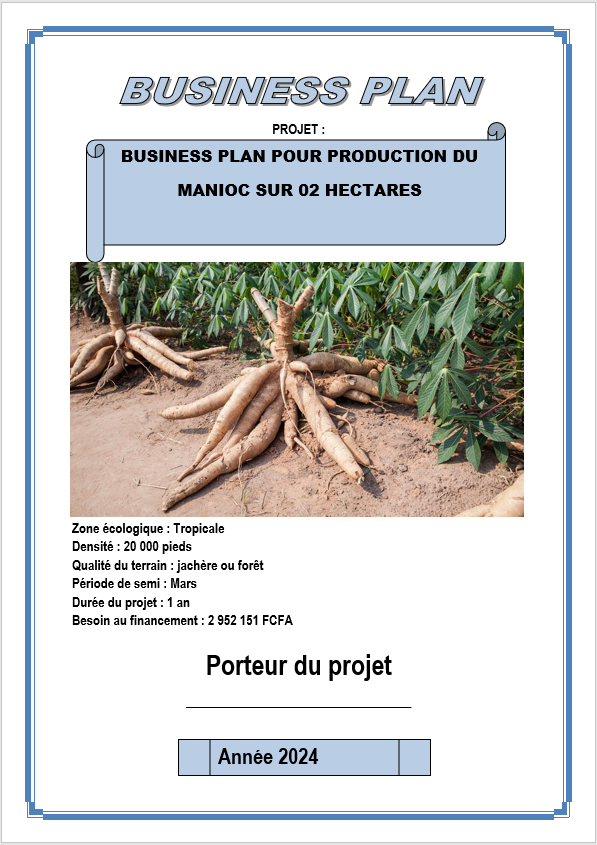 Business plan culture du manioc sur 2 hectares