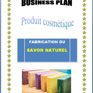 Business plan fabrication du savon naturel