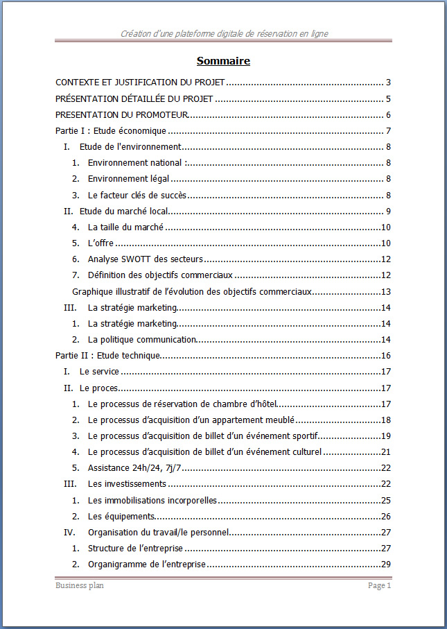 exemple business plan plateforme web